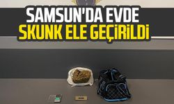 Samsun İlkadım'da evde skunk ele geçirildi