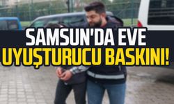 Samsun'da eve uyuşturucu baskını! Kenevir ele geçirildi