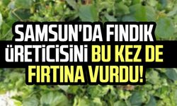 Samsun'da fındık üreticisini bu kez de fırtına vurdu!