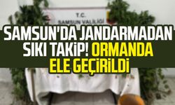 Samsun'da jandarmadan sıkı takip! Ormanda ele geçirildi