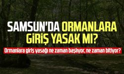 Samsun'da ormanlara giriş yasak mı? Ormanlara giriş yasağı ne zaman başlıyor, ne zaman bitiyor?