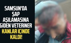 Samsun'da şap aşılamasına giden veterinere köpek saldırısı!
