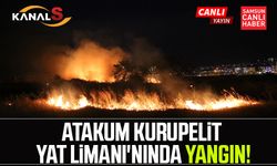 Atakum Kurupelit Yat Limanı'nında yangın!