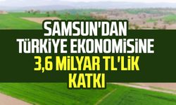 Samsun'dan Türkiye ekonomisine 3,6 milyar TL'lik katkı