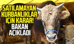 Satılamayan kurbanlıklar için karar! Bakan açıkladı