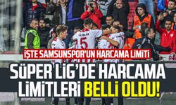 TFF Süper Lig takımlarının harcama limitlerini açıkladı: İşte Samsunspor'un harcama limiti
