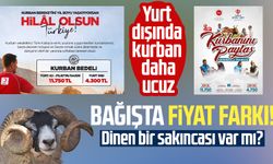 Bağışta fiyat farkı! Yurt dışında kurban daha ucuz! Dinen bir sakıncası var mı?