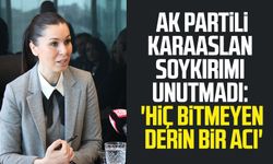 AK Partili Çiğdem Karaaslan soykırımı unutmadı: 'Hiç bitmeyen derin bir acı'