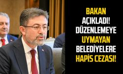 Sokak hayvanları düzenlemesine uymayan belediyelere hapis!