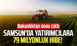 Bakanlıktan onay çıktı: Samsun'da yatırımcılara 79 milyonluk hibe