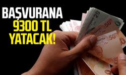 Başvurana 9300 TL yatacak!