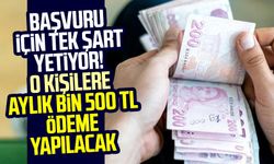 Başvuru için tek şart yetiyor! O kişilere aylık bin 500 TL ödeme yapılacak