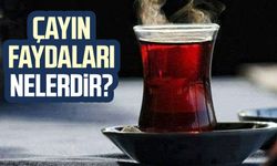 Çayın faydaları nelerdir?