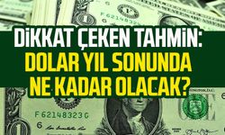 Dikkat çeken tahmin: Dolar yıl sonunda ne kadar olacak?