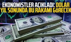 Ekonomistler açıkladı: Dolar yıl sonunda bu rakamı görecek