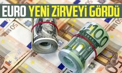 Euro yeni zirveyi gördü