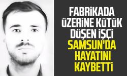 Fabrikada üzerine kütük düşen işçi Samsun'da hayatını kaybetti