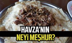 Samsun Havza'nın neyi meşhur?