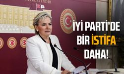 İYİ Parti'de istifa!