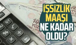 İşsizlik maaşı ne kadar, kaç TL 2024? İşsizlik maaşı hesaplama!