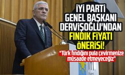 İYİ Parti Genel Başkanı Müsavat Dervişoğlu'ndan fındık fiyatı önerisi!