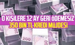 12 ay geri ödemesiz 350 bin TL kredi müjdesi
