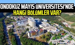 Ondokuz Mayıs Üniversitesi'nde hangi bölümler var?