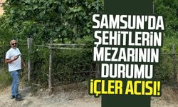 Samsun Bafra'da 1. Dünya Savaşı şehitlerinin mezarının durumu içler acısı!