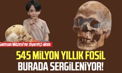 545 milyon yıllık fosil burada sergileniyor! Samsun Müzesi'ne ziyaretçi akını