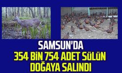 Samsun'da 354 bin 754 adet sülün doğaya salındı