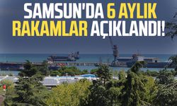 Samsun'da 6 aylık ihracat ve ithalat rakamları açıklandı!