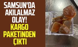 Samsun'da akılalmaz olay! Kargo paketinden reçine esrar çıktı