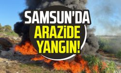 Samsun'da arazide yangın!