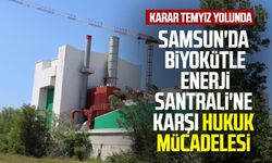 Samsun'da Biyokütle Enerji Santrali'ne karşı hukuk mücadelesi: Karar temyiz yolunda