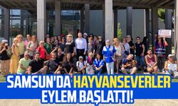 Samsun'da hayvanseverler eylem başlattı!