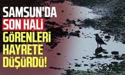 Samsun'da son hali görenleri hayrete düşürdü