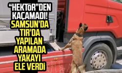 Samsun Derecik Mahallesi'nde TIR'da uyuşturucu ele geçirildi!