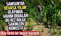 Samsun Şeyhulaş Mahallesi'nde 'devasa yılan' olayında yeni iddialar!