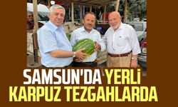 Samsun'da yerli karpuz tezgahlarda