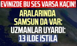 Uzmanlar Samsun'un da arasında bulunduğu o illeri uyardı: İstila var