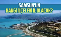 Samsun'un hangi ilçeleri il olacak?