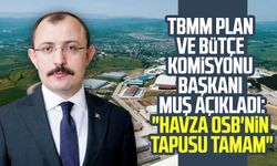 Mehmet Muş açıkladı: "Havza OSB'nin tapusu tamam"