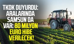 TKDK duyurdu: Aralarında Samsun da var: 80 milyon Euro hibe verilecek!