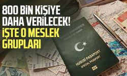 800 bin kişiye yeşil pasaport verilecek! İşte o meslek grupları