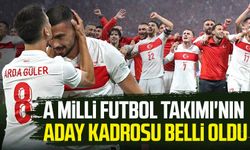 A Milli Futbol Takımı'nın aday kadrosu belli oldu