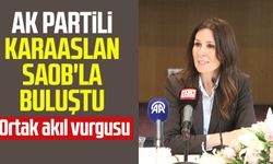 AK Partili Çiğdem Karaaslan SAOB'la buluştu: Ortak akıl vurgusu