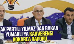 AK Partili Yusuf Ziya Yılmaz'dan Bakan Yumaklı'ya kahverengi kokarca raporu