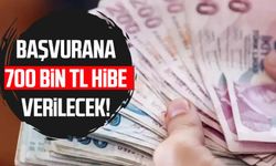 Başvurana 700 bin TL hibe verilecek!