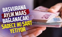 Başvurana aylık maaş bağlanacak! Sadece iki şart yetiyor