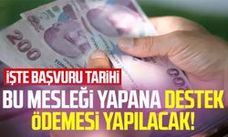 Bu mesleği yapana destek ödemesi yapılacak! İşte başvuru tarihi